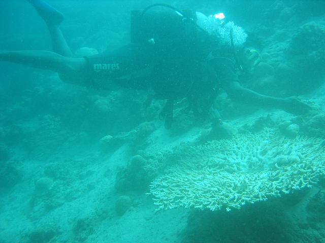 Massawa dykning 062