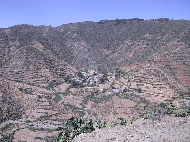IMG 0829