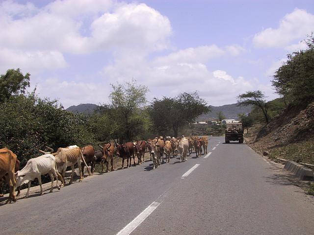 IMG 0833