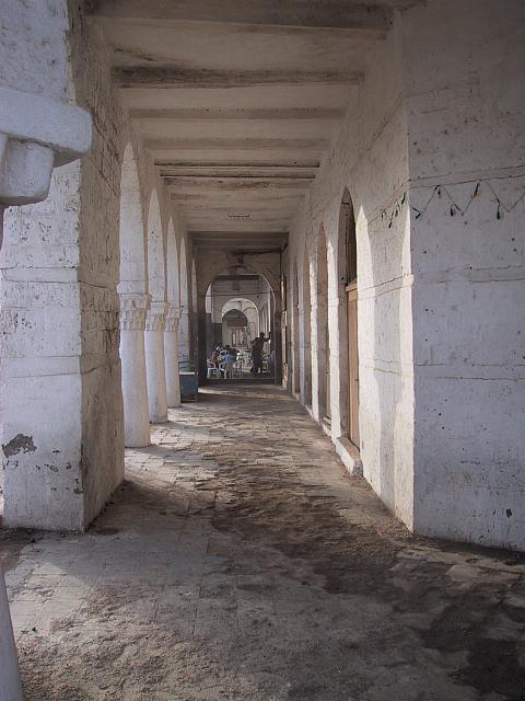 IMG 0869