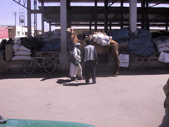 IMG 0912
