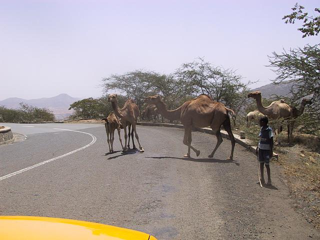 IMG 0936