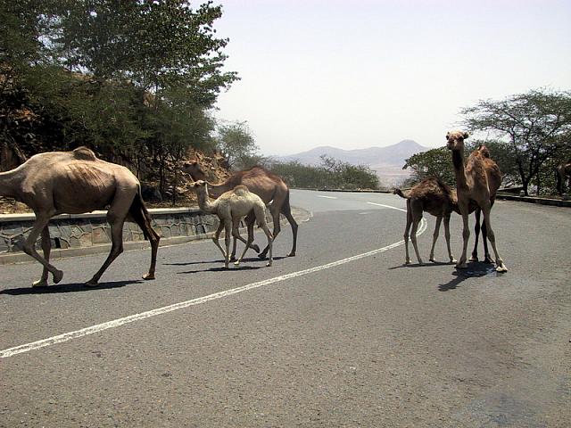 IMG 0938 exposure resize