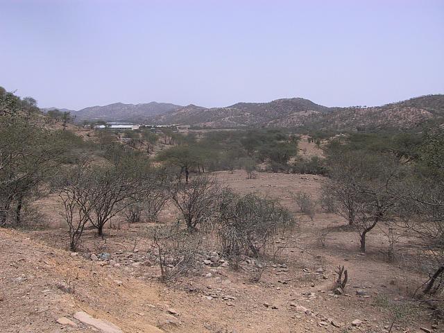 IMG 0940