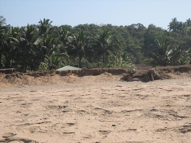 20060208 0206