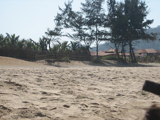20060208 0207