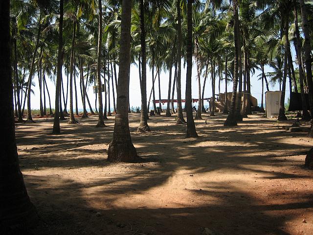 20060208 0209