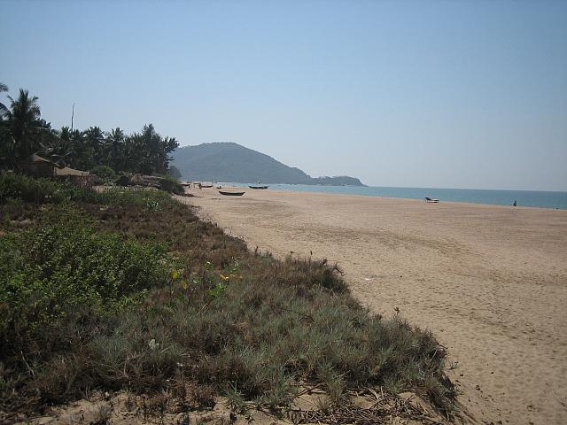 20060208 0217